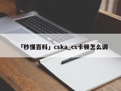 「秒懂百科」cska_cs卡顿怎么调