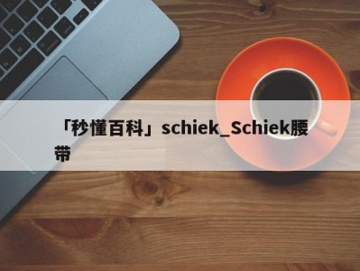 「秒懂百科」schiek_Schiek腰带