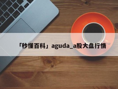 「秒懂百科」aguda_a股大盘行情