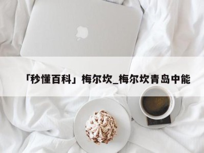 「秒懂百科」梅尔坎_梅尔坎青岛中能